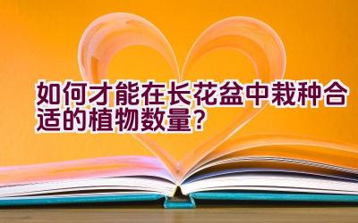 如何才能在长花盆中栽种合适的植物数量？