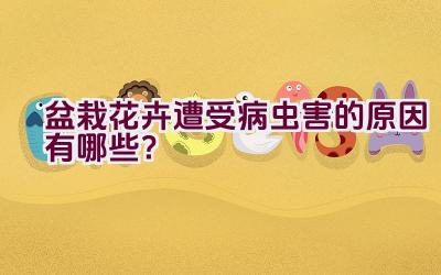 盆栽花卉遭受病虫害的原因有哪些？