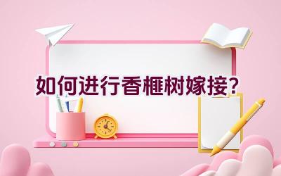 如何进行香榧树嫁接?插图 如何进行香榧树嫁接?插图