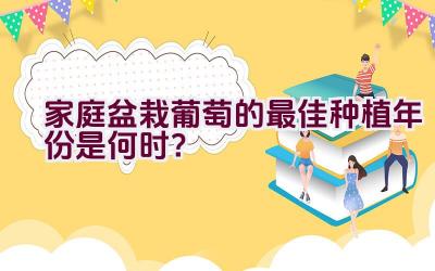 家庭盆栽葡萄的最佳种植年份是何时？插图