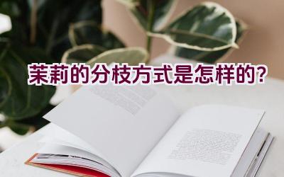 茉莉的分枝方式是怎样的?插图 茉莉的分枝方式是怎样的?插图