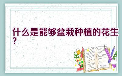 什么是能够盆栽种植的花生？插图