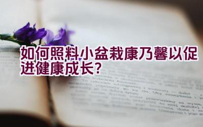 如何照料小盆栽康乃馨以促进健康成长？插图