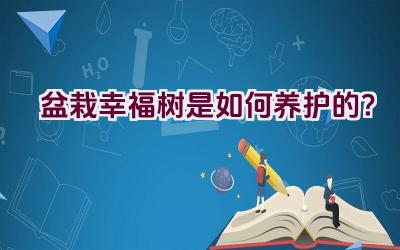 盆栽幸福树是如何养护的？