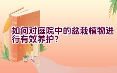 如何对庭院中的盆栽植物进行有效养护？