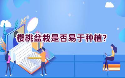 樱桃盆栽是否易于种植？