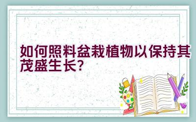 如何照料盆栽植物以保持其茂盛生长？插图