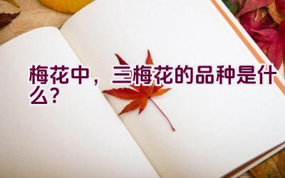 梅花中，三梅花的品种是什么？插图