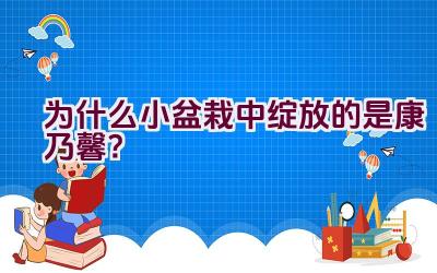 为什么小盆栽中绽放的是康乃馨？