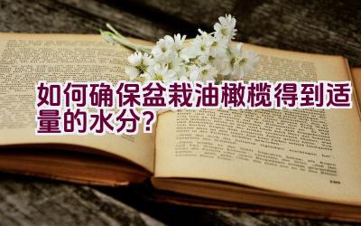 如何确保盆栽油橄榄得到适量的水分？