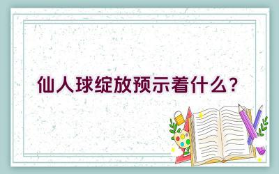 仙人球绽放预示着什么？插图