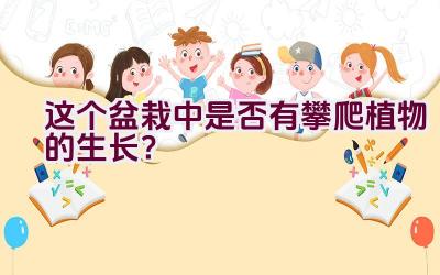 这个盆栽中是否有攀爬植物的生长？插图