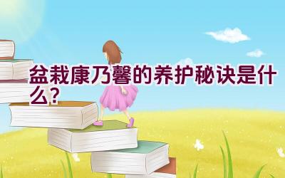 盆栽康乃馨的养护秘诀是什么？