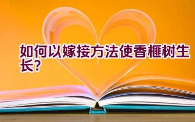 如何以嫁接方法使香榧树生长？插图