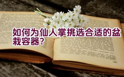 如何为仙人掌挑选合适的盆栽容器？插图