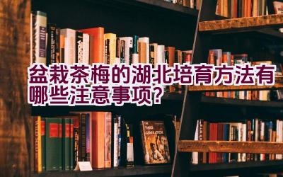 盆栽茶梅的湖北培育方法有哪些注意事项？