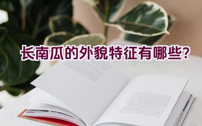 长南瓜的外貌特征有哪些？插图